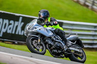 PJ-Motorsport-2019;anglesey;brands-hatch;cadwell-park;croft;donington-park;enduro-digital-images;event-digital-images;eventdigitalimages;mallory;no-limits;oulton-park;peter-wileman-photography;racing-digital-images;silverstone;snetterton;trackday-digital-images;trackday-photos;vmcc-banbury-run;welsh-2-day-enduro